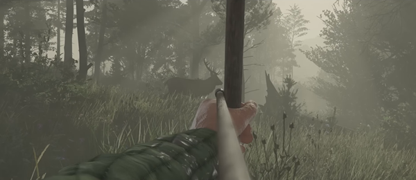 Kingdom Come Deliverance II