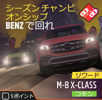 ラリーのシーズンチャンピオンシップの画像