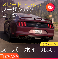 スピードトラップの画像2