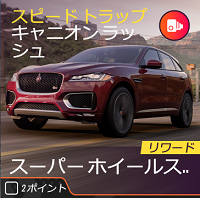 ラリーのスピードトラップの画像