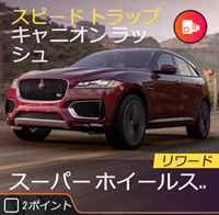 ラリーのスピードトラップの画像